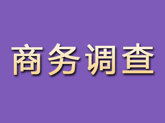 永胜商务调查